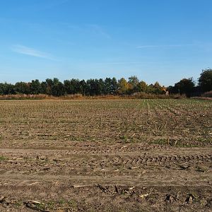 Expansion area for the zoo, 2022-10-09