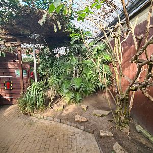 Marmoset hall - General look