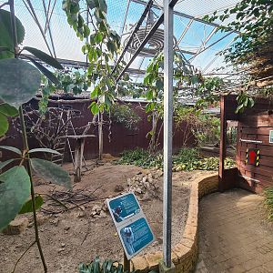 Marmoset hall - General look