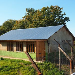 New African wild dog viewing area, 2022-10-09