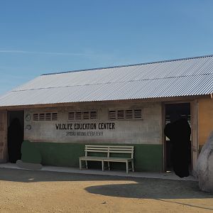 New African wild dog viewing area, 2022-10-09