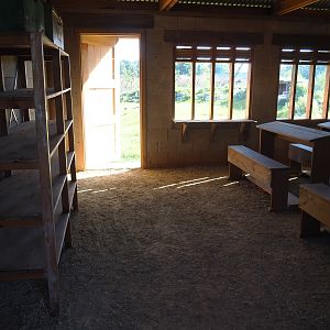 Interior of New African wild dog viewing area, with school/education center theming, 2022-10-09