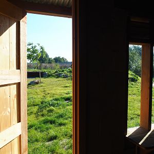 African wild dog viewing windows, 2022-10-09