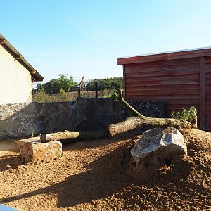 New meerkat exhibit, 2022-10-09