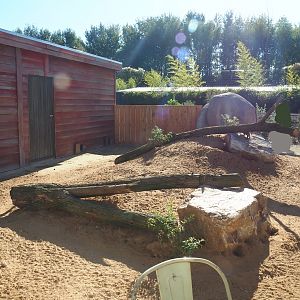 New meerkat exhibit, 2022-10-09