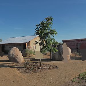New African wild dog viewing area and new meerkat exhibit, 2022-10-09