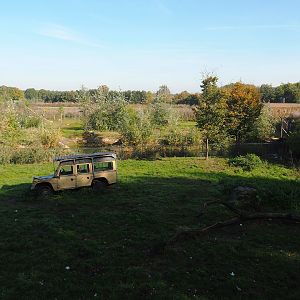 African lion exhibit, with new African wild dog exhibit behind it, 2022-10-09