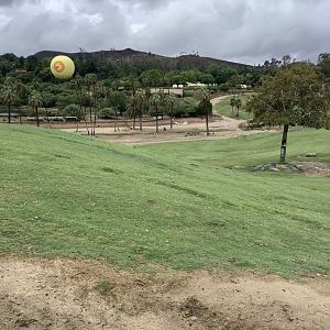 Savanna Overlook 10/9/21