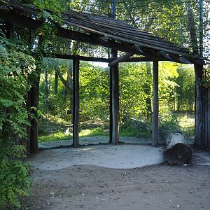White tiger viewing windows, 2022-10-09