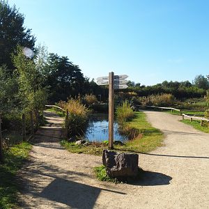 Access to the Ring-tailed lemur island and main walkway towards giraffe exhibit, 2022-10-09