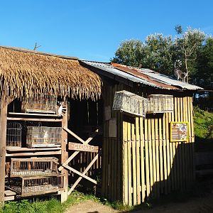 Madagascar animal shop theming, 2022-10-09
