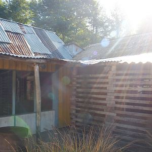 Ring-tailed lemur and Lac Alaotran bamboo lemur house, 2022-10-09