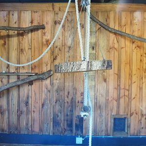 Ring-tailed lemur indoor housing, 2022-10-09