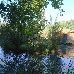 Lac Alaotra bamboo lemur island, 2022-10-09