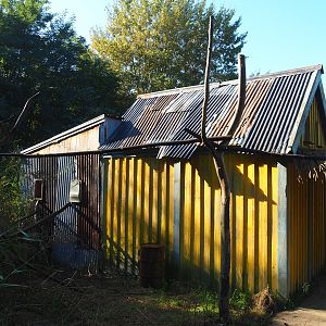 Lemur house, 2022-10-09