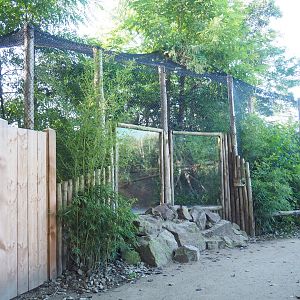 Fossa exhibit, 2022-10-09