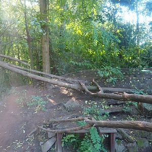 Fossa exhibit, 2022-10-09
