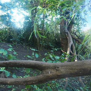 Fossa exhibit, 2022-10-09
