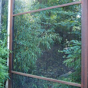 Fossa exhibit, 2022-10-09