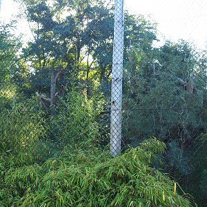 Fossa exhibit, 2022-10-09