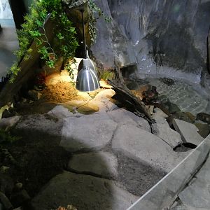 Terrapin enclosure