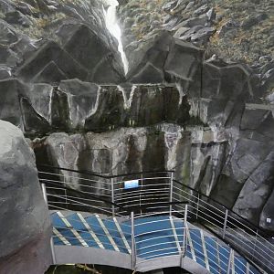 Entrance stairs and waterfall