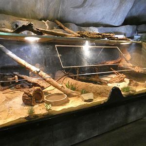 Corn snake enclosure