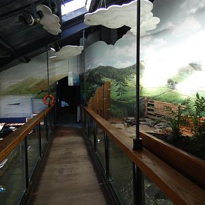 Upper viewing of the Lake Windermere tank