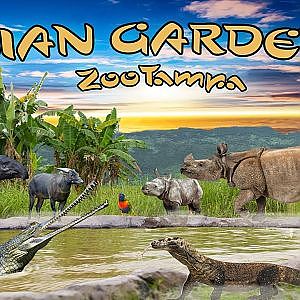 The Asian Gardens at ZooTampa | The Virtual Zoo on YouTube