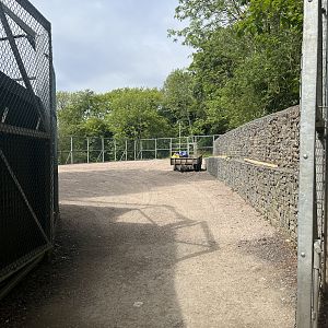 New giraffe paddock, just a trailer left in there looking ready