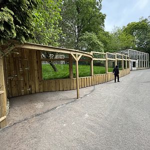 New Parma wallaby enclosure