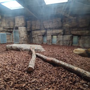 New Lion House Interior sleep area