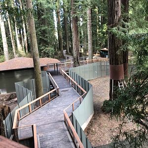 Future black bear/coyote habitat (opening this summer)