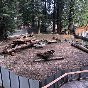 Future black bear/coyote habitat (opening this summer)