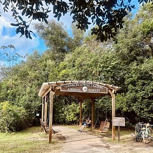 Entryway to the Animal Forest