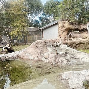 River Otter Exhibit