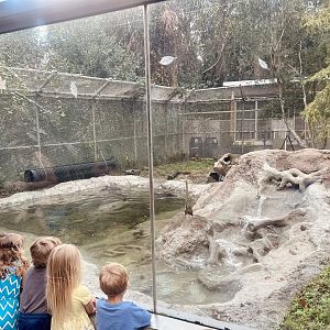 Guests observing River Otters