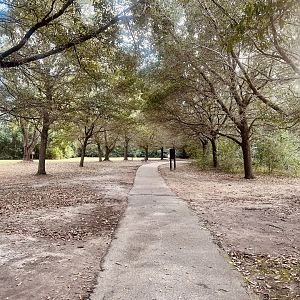Path through the Park