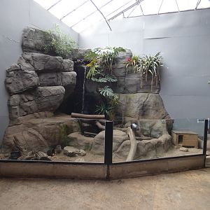 Long-nosed potoroo enclosure