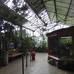 Tropical hall