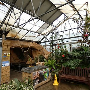 Leaf-cutter ant exhibit