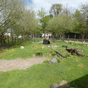 Grey crowned crane and Kirk's dik-dik enclosure