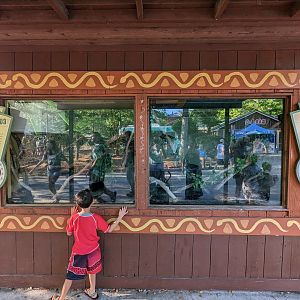 Rattler (ride) line - Boa and Python tanks