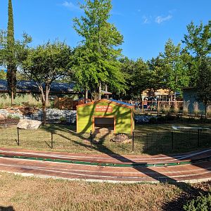 Oasis Outpost - sulcata tortoise