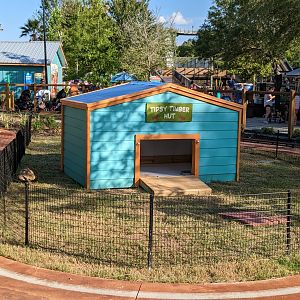 Oasis Outpost - leopard tortoise