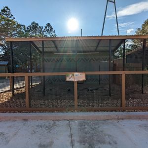 Oasis Outpost - prairie dogs