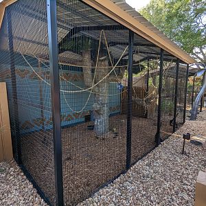 Oasis Outpost - spider monkey