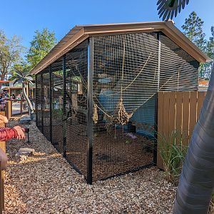 Oasis Outpost - spider monkey