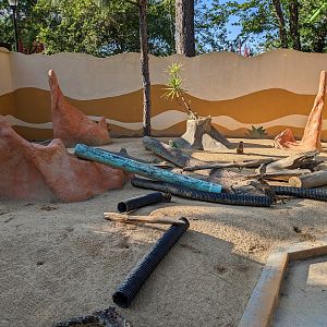 Oasis Outpost - meercat