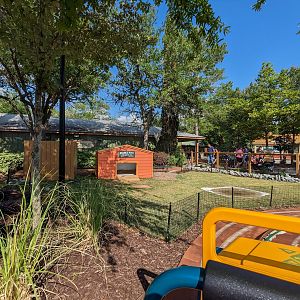 Oasis Outpost - leopard tortoise